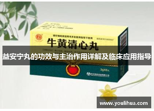 益安宁丸的功效与主治作用详解及临床应用指导